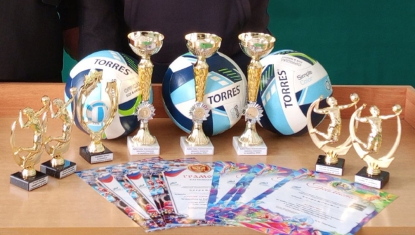 Турнир по волейболу на Кубок главы Анастасьевского сельского  поселения